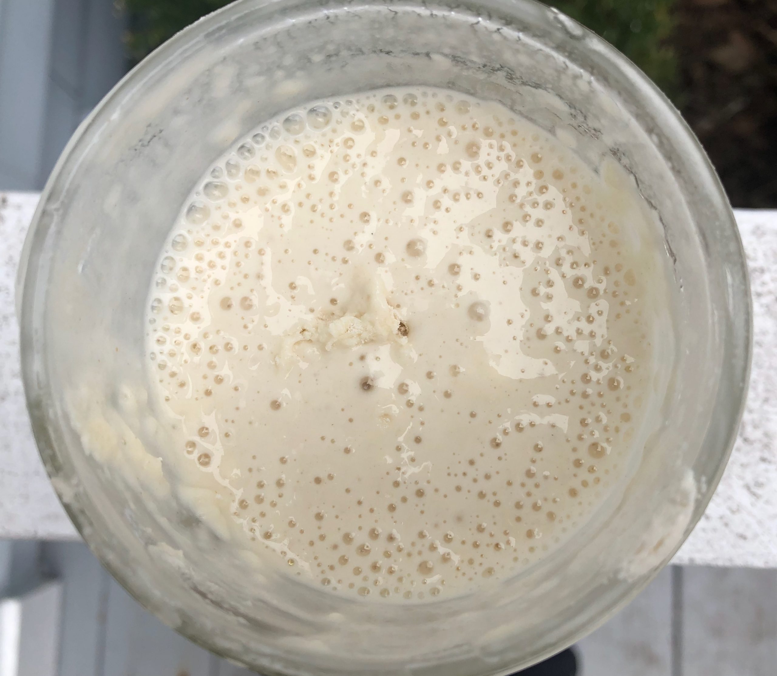 SOURDOUGH STARTER