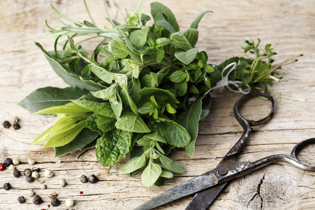 Five Healthy Herbs and Spices to Grow Now Green Palette Kitchen